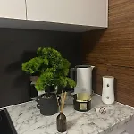 Oasis Of Salt * Tuzla