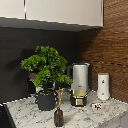 Oasis Of Salt * Tuzla